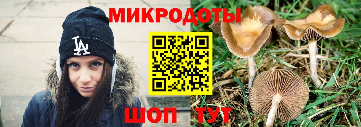 Псилоцибиновые грибы Cubensis  Вход с VPN  Псилоцибиновые грибы Cubensis  Донской 
